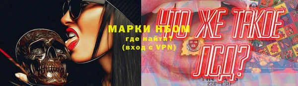 спиды Богданович