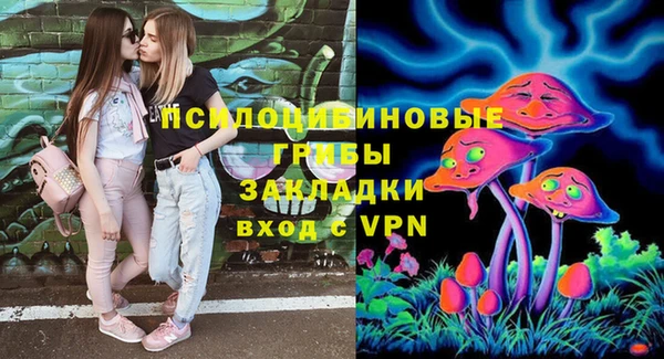 молекула духа Белокуриха