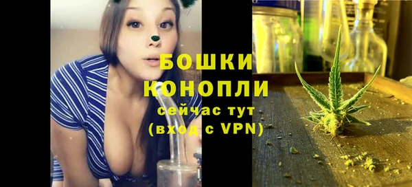 молекула духа Белокуриха