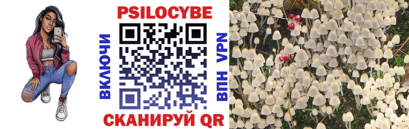 Псилоцибиновые грибы мухоморы  как найти наркотики  Минеральные Воды 
